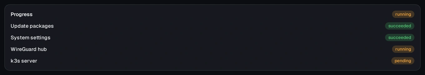The setup wizard's live progress list, mid-run